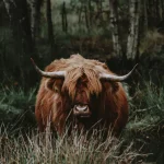 Kalli Chatzakou Groningen graphic designer