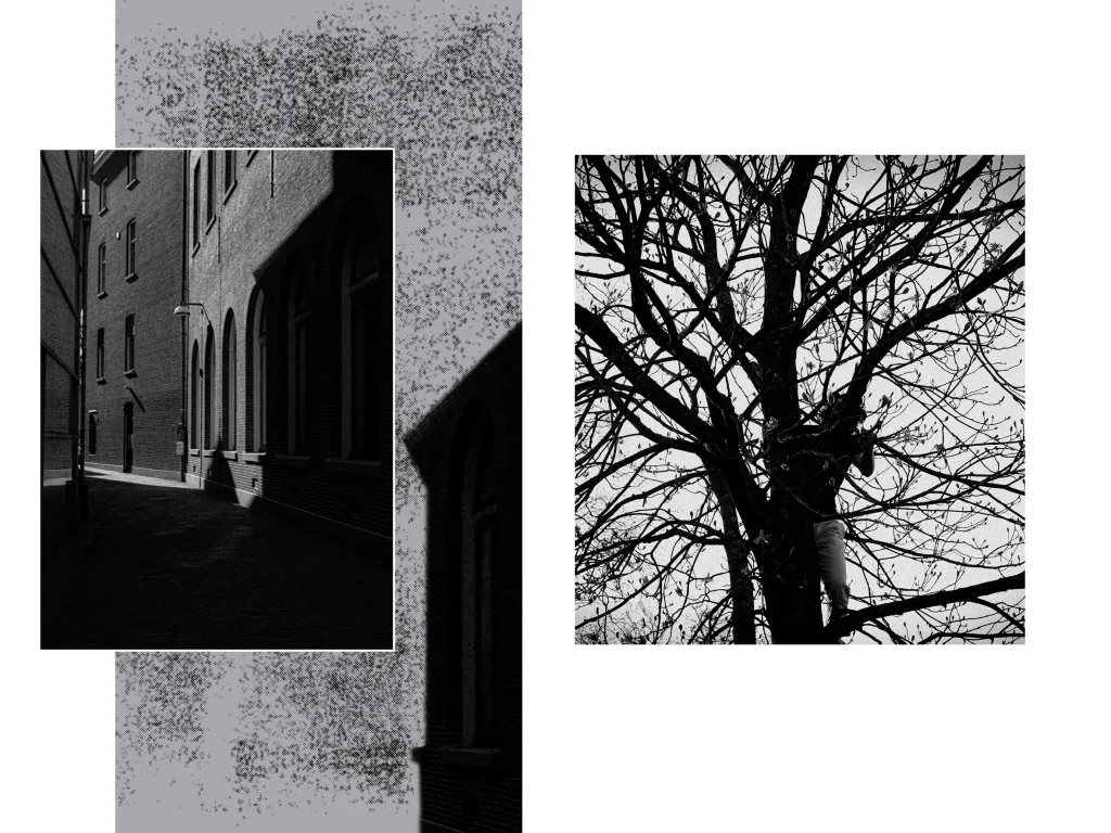 Kalli Chatzakou Groningen graphic designer
