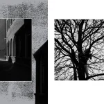 Kalli Chatzakou Groningen graphic designer