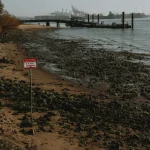 Kalli Chatzakou Groningen photographer